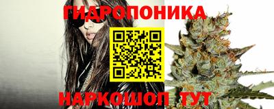 гидропоника Лесосибирск